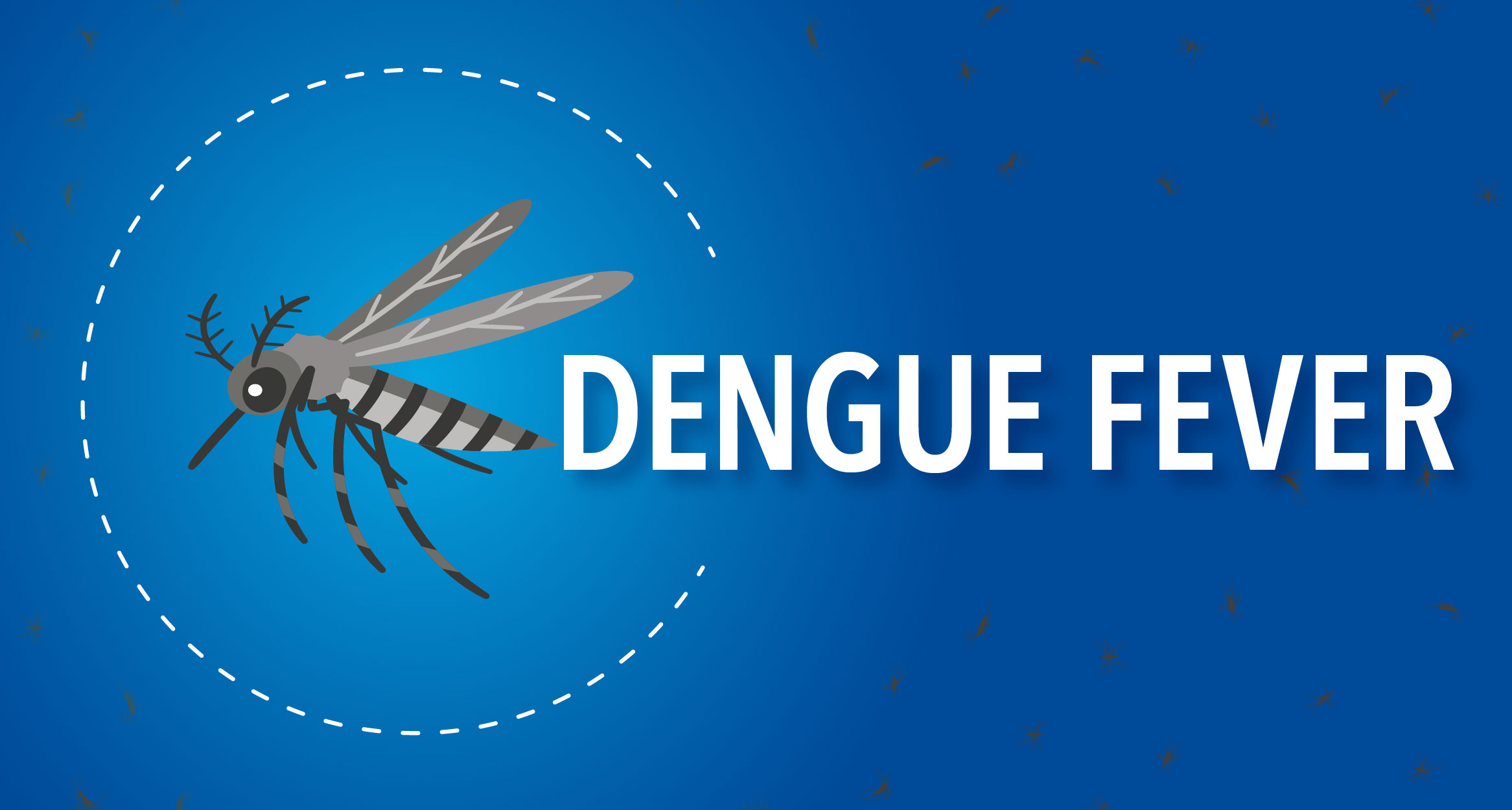 Dengue Fever width=