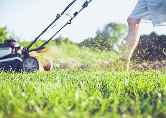 Cutter Keep Ticks Off Mow Lawn